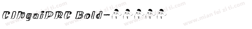 CINgaiPRC Bold字体转换